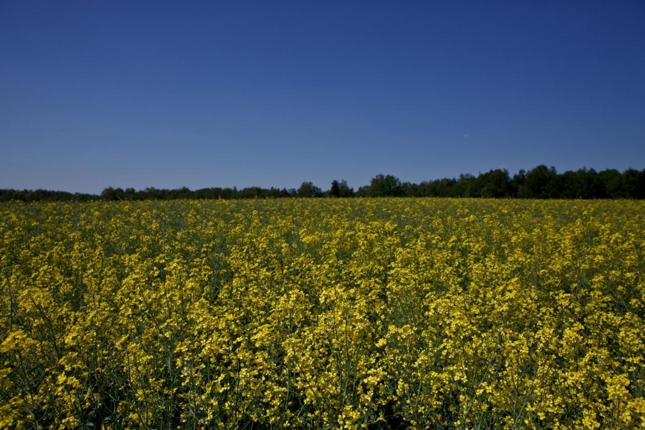 Фермерские дома Agroturystyka Wichrowe Wzgorze Osiek